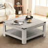 Millwood Pines Zara Square Coffee Table With 2-tier Storage Shelves ...